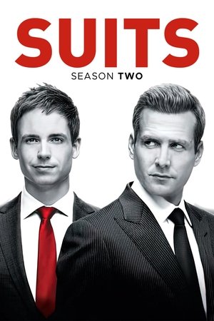 Suits: Seizoen 2