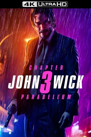 poster John Wick: Chapter 3 - Parabellum