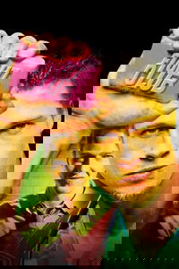 undefined image