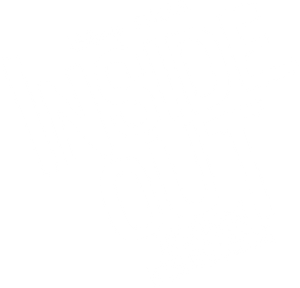 Inside Out มหัศจรรย์อารมณ์อลเวง