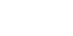 Flicka 2