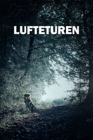 Poster Lufteturen 2019