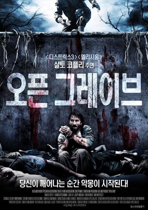 Poster 오픈 그레이브 2013