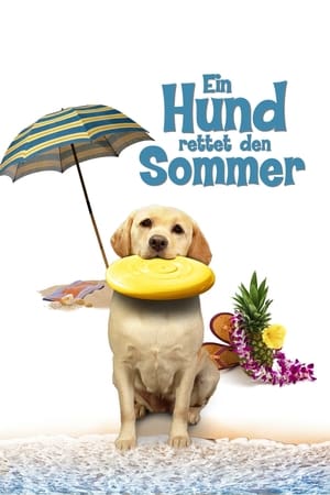 Poster Ein Hund rettet den Sommer 2015