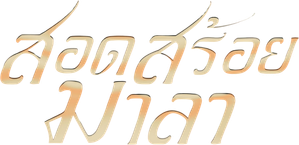 Ảnh 25