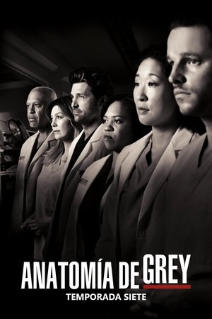 Anatomía según Grey