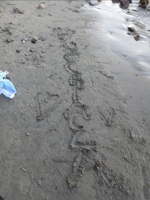 La psicologia del piacere (2026)