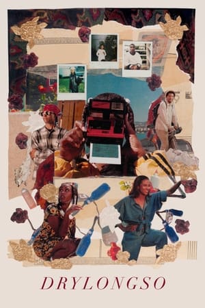 Poster Drylongso (1999)