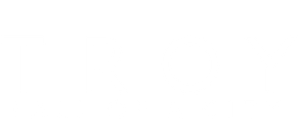Troy: Fall of a City