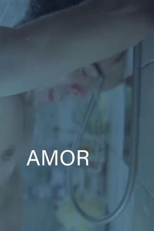 Poster Amor 2013