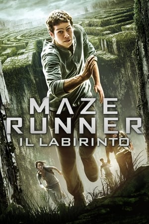 Poster di Maze Runner - Il labirinto