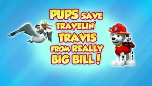 PAW Patrol Pups Save Travelin' Travis from Really Big Bill!