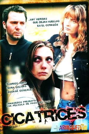 Poster Cicatrices del alma 2005