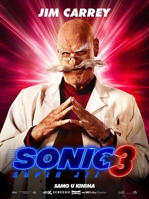 poster Sonic the Hedgehog 3