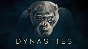 poster Dynasties