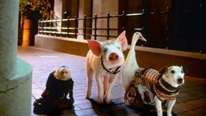 Babe: Pig in the City (1998)