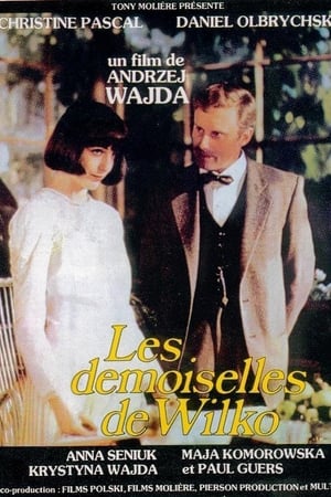 Poster Les demoiselles de Wilko 1979