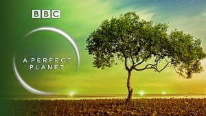 poster A Perfect Planet