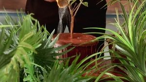 Iss Pyaar Ko Kya Naam Doon?: 1×47