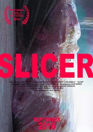 Poster Slicer (2016)