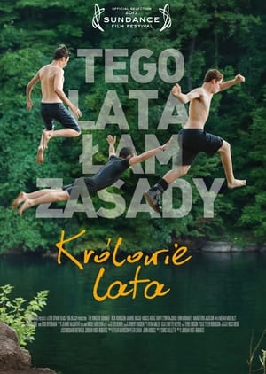 Poster Królowie lata 2013