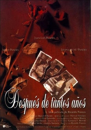 Poster Después de tantos años 1994