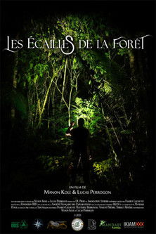 Les Écailles de la forêt