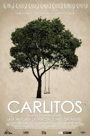 Poster Carlitos 2015