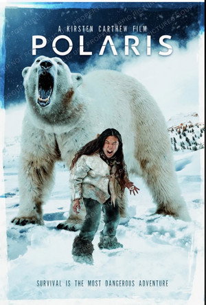 Polaris 13