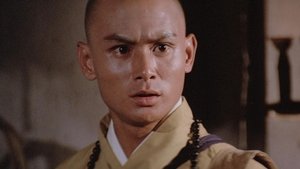 The 36th Chamber of Shaolin (1978)