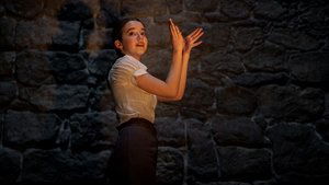 White Bird : Une histoire merveilleuse