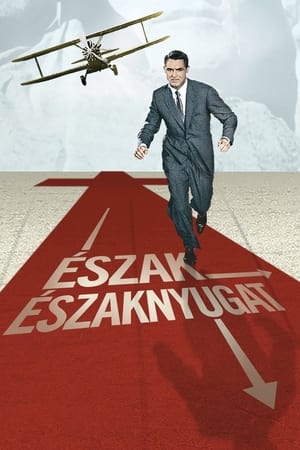 Poster Észak-északnyugat 1959