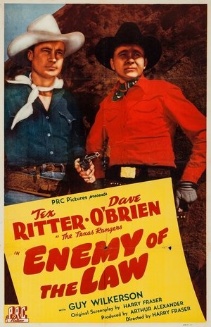 Enemy of the Law poster