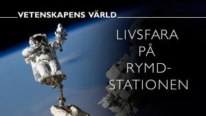 Miniature Épisode 2 : Épisode 2