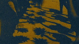 The Memory of Butterflies