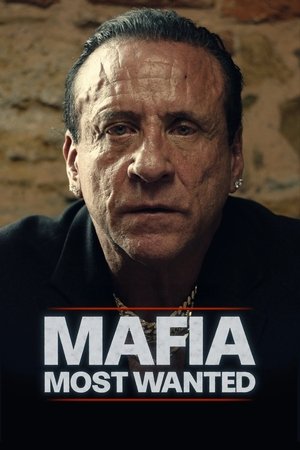 Image Mafia: Most Wanted