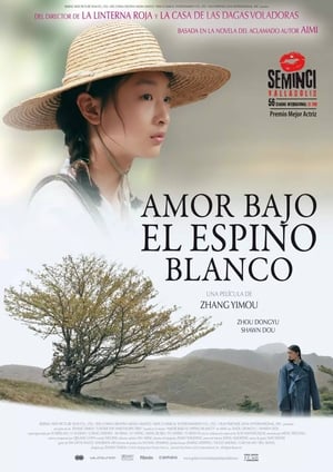 Poster Amor bajo el espino blanco 2010