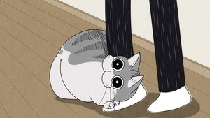 Nights With a Cat: 1×2