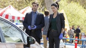 Rizzoli & Isles Temporada 6 Capitulo 2