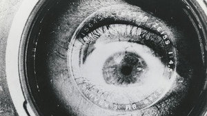 Man with a Movie Camera 29