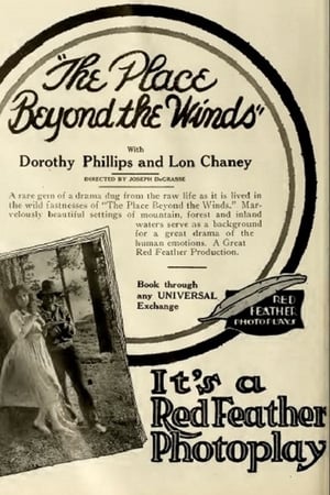 Poster The Place Beyond the Winds (1916)