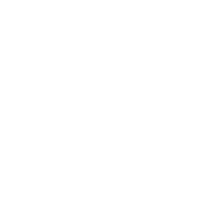 Buying Blind