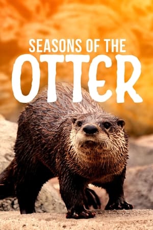 Poster Seasons of the Otter 2021
