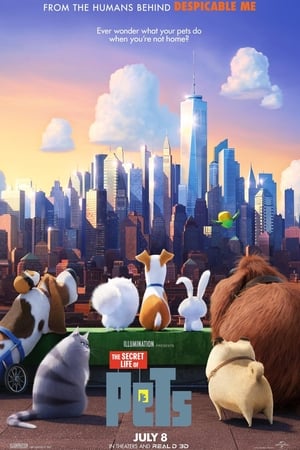 The Secret Life Of Pets (2016) is one of the best movies like Partly Cloudy (2009)