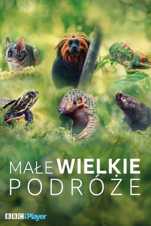 Małe wielkie podróże