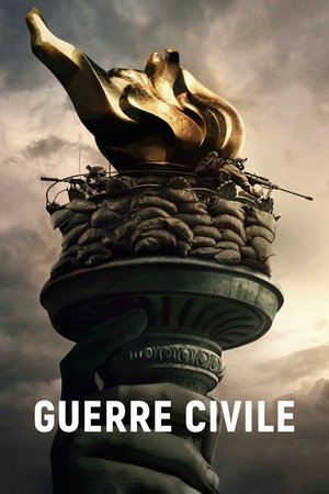 poster Civil War