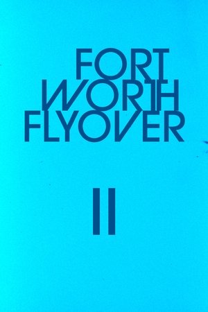 Image Fort Worth Flyover II