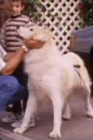 Thor photo 2