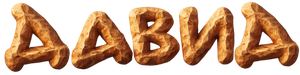 David — Logos 2