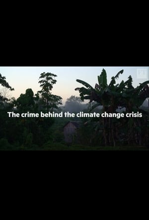 Image The crime behind the Amazon climate change crisis